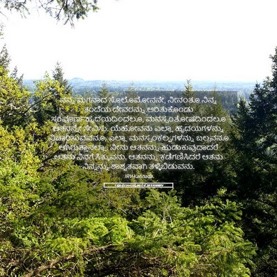 Picture 05 - 1 ಪೂರ್ವಕಾಲವೃತ್ತಾಂತ 28:9 KANIRV - ನನ್ನ ಮಗನಾದ - Bible Verse Picture