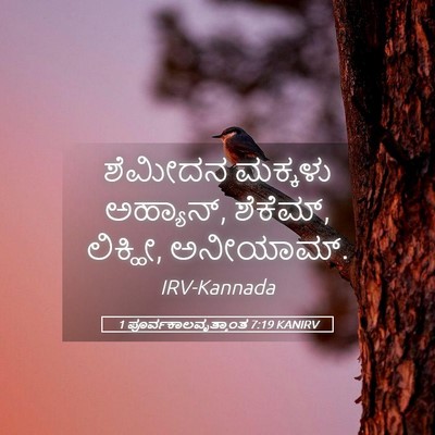Picture 05 - 1 ಪೂರ್ವಕಾಲವೃತ್ತಾಂತ 7:19 KANIRV - ಶೆಮೀದನ ಮಕ್ಕಳು - Bible Verse Picture