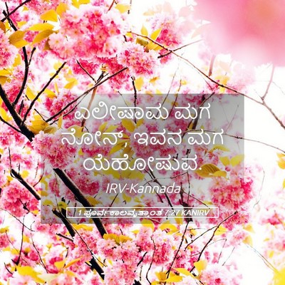 Picture 05 - 1 ಪೂರ್ವಕಾಲವೃತ್ತಾಂತ 7:27 KANIRV - ಎಲೀಷಾಮ ಮಗ ನೋನ್, ಇವನ - Bible Verse Picture
