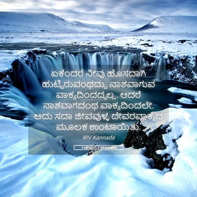 Picture 05 - 1 ಪೇತ್ರನು 1:23 KANIRV - ಏಕೆಂದರೆ ನೀವು - Bible Verse Picture