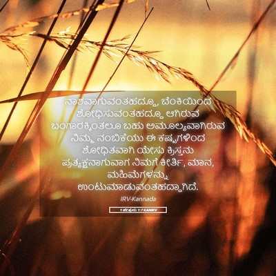 Picture 05 - 1 ಪೇತ್ರನು 1:7 KANIRV - ನಾಶವಾಗುವಂತಹದ್ದೂ, - Bible Verse Picture