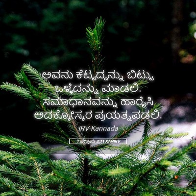 Picture 05 - 1 ಪೇತ್ರನು 3:11 KANIRV - ಅವನು ಕೆಟ್ಟದ್ದನ್ನು - Bible Verse Picture