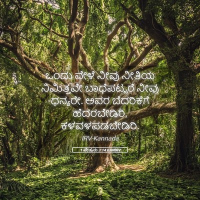 Picture 05 - 1 ಪೇತ್ರನು 3:14 KANIRV - ಒಂದು ವೇಳೆ ನೀವು - Bible Verse Picture