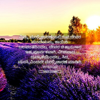 Picture 05 - 1 ಪೇತ್ರನು 5:2 KANIRV - ನಿಮ್ಮ - Bible Verse Picture