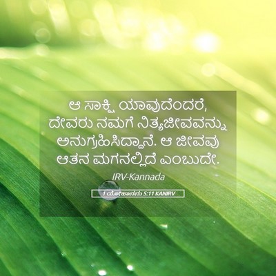 Picture 05 - 1 ಯೋಹಾನನು 5:11 KANIRV - ಆ ಸಾಕ್ಷಿ - Bible Verse Picture