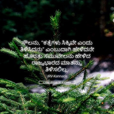 Picture 05 - 1 ಸಮುವೇಲನು 10:16 KANIRV - ಸೌಲನು, “ಕತ್ತೆಗಳು - Bible Verse Picture