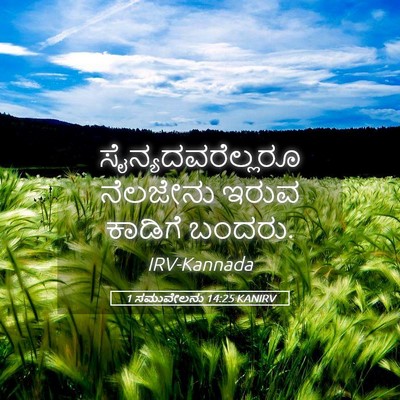 Picture 05 - 1 ಸಮುವೇಲನು 14:25 KANIRV - ಸೈನ್ಯದವರೆಲ್ಲರೂ - Bible Verse Picture
