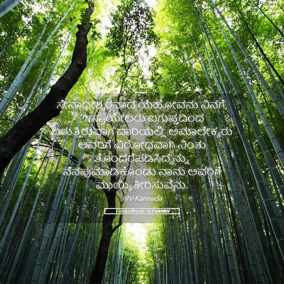 Picture 05 - 1 ಸಮುವೇಲನು 15:2 KANIRV - ಸೇನಾಧೀಶ್ವರನಾದ - Bible Verse Picture