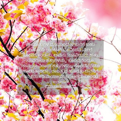 Picture 05 - 1 ಸಮುವೇಲನು 18:8 KANIRV - ಈ ಮಾತುಗಳ ದೆಸೆಯಿಂದ - Bible Verse Picture