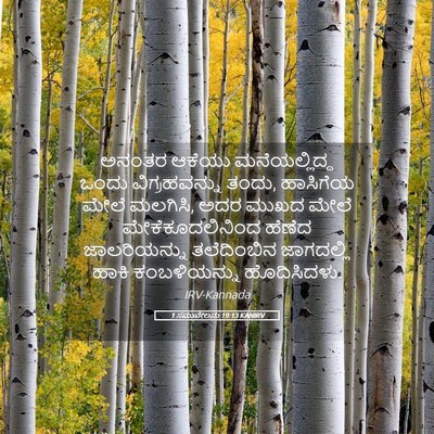 Picture 05 - 1 ಸಮುವೇಲನು 19:13 KANIRV - ಅನಂತರ ಆಕೆಯು - Bible Verse Picture