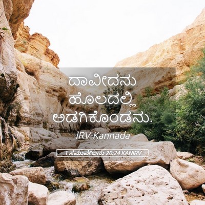 Picture 05 - 1 ಸಮುವೇಲನು 20:24 KANIRV - ದಾವೀದನು ಹೊಲದಲ್ಲಿ - Bible Verse Picture