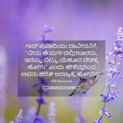 Picture 05 - 1 ಸಮುವೇಲನು 22:5 KANIRV - ಗಾದ್ ಪ್ರವಾದಿಯು - Bible Verse Picture