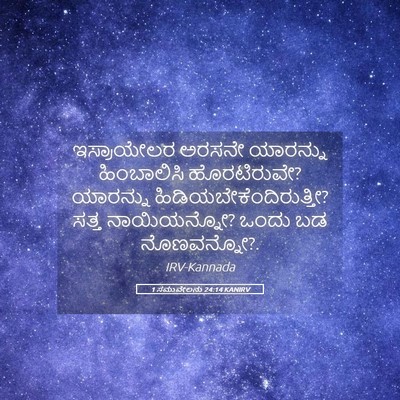 Picture 05 - 1 ಸಮುವೇಲನು 24:14 KANIRV - ಇಸ್ರಾಯೇಲರ ಅರಸನೇ - Bible Verse Picture