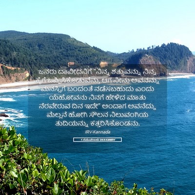 Picture 05 - 1 ಸಮುವೇಲನು 24:4 KANIRV - ಜನರು ದಾವೀದನಿಗೆ - Bible Verse Picture
