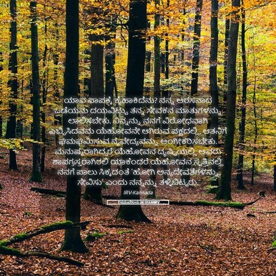 Picture 05 - 1 ಸಮುವೇಲನು 26:19 KANIRV - ಯಾವ ಪಾಪಕ್ಕೆ - Bible Verse Picture