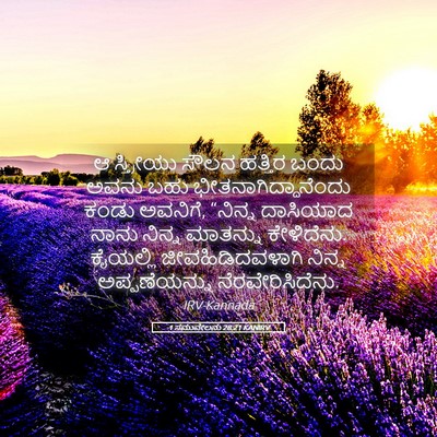 Picture 05 - 1 ಸಮುವೇಲನು 28:21 KANIRV - ಆ ಸ್ತ್ರೀಯು ಸೌಲನ - Bible Verse Picture