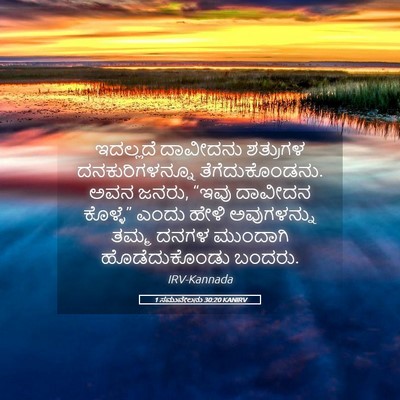 Picture 05 - 1 ಸಮುವೇಲನು 30:20 KANIRV - ಇದಲ್ಲದೆ ದಾವೀದನು - Bible Verse Picture