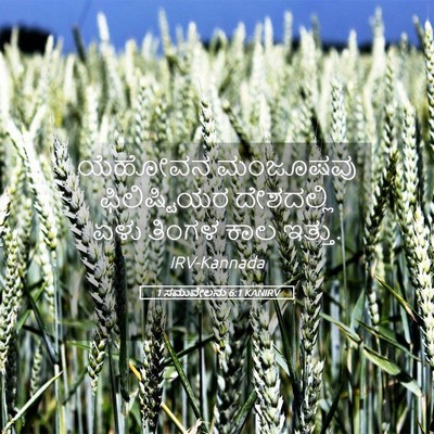 Picture 05 - 1 ಸಮುವೇಲನು 6:1 KANIRV - ಯೆಹೋವನ ಮಂಜೂಷವು - Bible Verse Picture