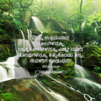 Picture 05 - 1 ಸಮುವೇಲನು 8:14 KANIRV - ನಿಮ್ಮ ಉತ್ತಮವಾದ - Bible Verse Picture