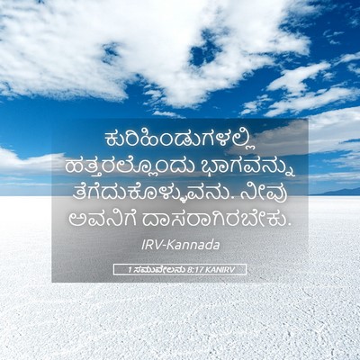Picture 05 - 1 ಸಮುವೇಲನು 8:17 KANIRV - ಕುರಿಹಿಂಡುಗಳಲ್ಲಿ - Bible Verse Picture