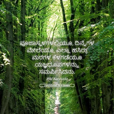 Picture 05 - 2 ಅರಸುಗಳು 16:4 KANIRV - ಪೂಜಾಸ್ಥಳಗಳಲ್ಲಿಯೂ, - Bible Verse Picture