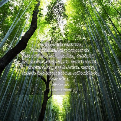 Picture 05 - 2 ಅರಸುಗಳು 2:17 KANIRV - ಆದರೆ ಅವರು ಅವನನ್ನು - Bible Verse Picture