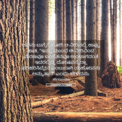 Picture 05 - 2 ಅರಸುಗಳು 2:21 KANIRV - ಅವನು ಬುಗ್ಗೆಗೆ - Bible Verse Picture