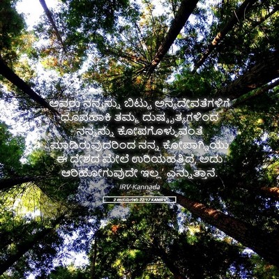Picture 05 - 2 ಅರಸುಗಳು 22:17 KANIRV - ಅವರು ನನ್ನನ್ನು - Bible Verse Picture
