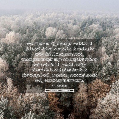 Picture 05 - 2 ಅರಸುಗಳು 23:29 KANIRV - ಅವನ ಕಾಲದಲ್ಲಿ, - Bible Verse Picture