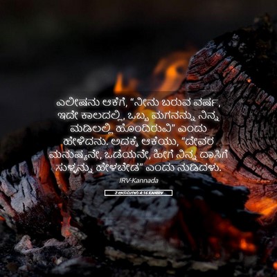 Picture 05 - 2 ಅರಸುಗಳು 4:16 KANIRV - ಎಲೀಷನು ಆಕೆಗೆ, - Bible Verse Picture