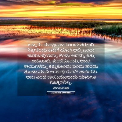Picture 05 - 2 ಅರಸುಗಳು 4:39 KANIRV - ಒಬ್ಬನು - Bible Verse Picture