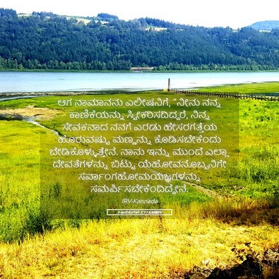 Picture 05 - 2 ಅರಸುಗಳು 5:17 KANIRV - ಆಗ ನಾಮಾನನು - Bible Verse Picture