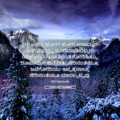Picture 05 - 2 ಅರಸುಗಳು 7:16 KANIRV - ಆಗ ಜನರು ಹೊರಗೆ ಹೋಗಿ - Bible Verse Picture
