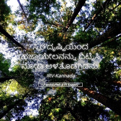 Picture 05 - 2 ಅರಸುಗಳು 8:11 KANIRV - ಸ್ಥಿರ ದೃಷ್ಟಿಯಿಂದ - Bible Verse Picture