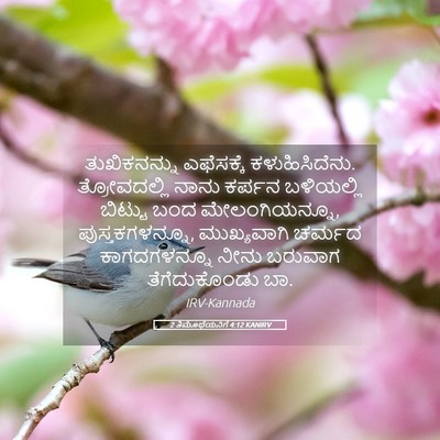 Picture 05 - 2 ತಿಮೊಥೆಯನಿಗೆ 4:12 KANIRV - ತುಖಿಕನನ್ನು - Bible Verse Picture