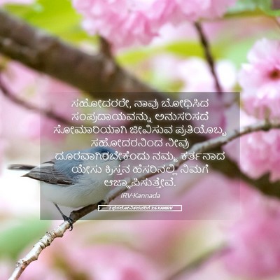 Picture 05 - 2 ಥೆಸಲೋನಿಕದವರಿಗೆ 3:6 KANIRV - ಸಹೋದರರೇ, ನಾವು - Bible Verse Picture