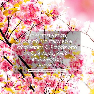 Picture 05 - 2 ಪೂರ್ವಕಾಲವೃತ್ತಾಂತ 12:6 KANIRV - ಆಗ ಅರಸನೂ ಮತ್ತು - Bible Verse Picture