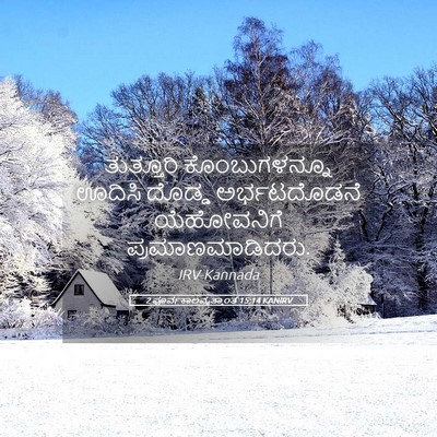 Picture 05 - 2 ಪೂರ್ವಕಾಲವೃತ್ತಾಂತ 15:14 KANIRV - ತುತ್ತೂರಿ - Bible Verse Picture
