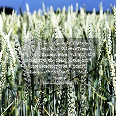 Picture 05 - 2 ಪೂರ್ವಕಾಲವೃತ್ತಾಂತ 18:23 KANIRV - ಆಗ ಕೆನಾನನ ಮಗನಾದ - Bible Verse Picture