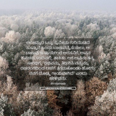 Picture 05 - 2 ಪೂರ್ವಕಾಲವೃತ್ತಾಂತ 18:33 KANIRV - ಅರಾಮ್ಯರ ಒಬ್ಬ - Bible Verse Picture