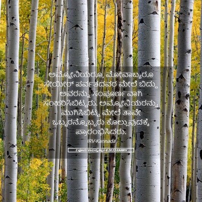 Picture 05 - 2 ಪೂರ್ವಕಾಲವೃತ್ತಾಂತ 20:23 KANIRV - ಅಮ್ಮೋನಿಯರೂ, - Bible Verse Picture