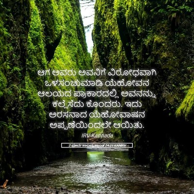 Picture 05 - 2 ಪೂರ್ವಕಾಲವೃತ್ತಾಂತ 24:21 KANIRV - ಆಗ ಅವರು ಅವನಿಗೆ - Bible Verse Picture
