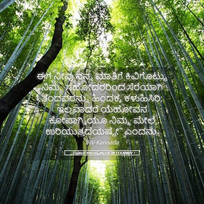 Picture 05 - 2 ಪೂರ್ವಕಾಲವೃತ್ತಾಂತ 28:11 KANIRV - ಈಗ ನೀವು ನನ್ನ - Bible Verse Picture