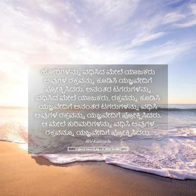 Picture 05 - 2 ಪೂರ್ವಕಾಲವೃತ್ತಾಂತ 29:22 KANIRV - ಹೋರಿಗಳನ್ನು ವಧಿಸಿದ - Bible Verse Picture
