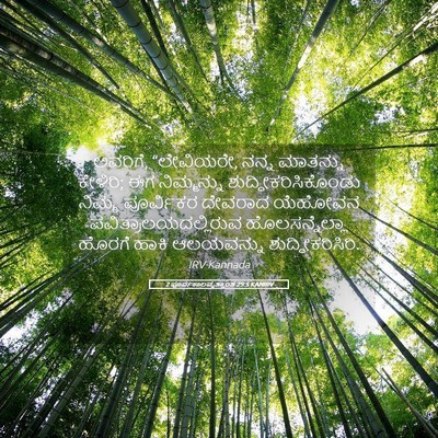 Picture 05 - 2 ಪೂರ್ವಕಾಲವೃತ್ತಾಂತ 29:5 KANIRV - ಅವರಿಗೆ, “ಲೇವಿಯರೇ, - Bible Verse Picture