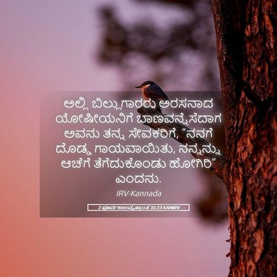 Picture 05 - 2 ಪೂರ್ವಕಾಲವೃತ್ತಾಂತ 35:23 KANIRV - ಅಲ್ಲಿ ಬಿಲ್ಲುಗಾರರು - Bible Verse Picture