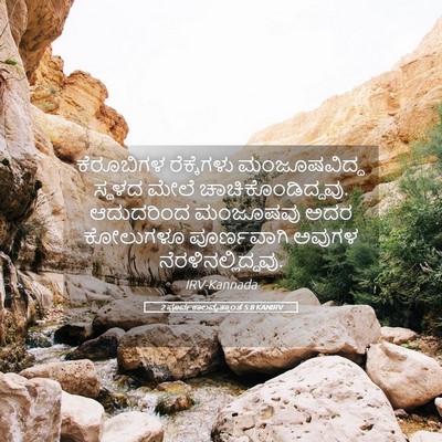 Picture 05 - 2 ಪೂರ್ವಕಾಲವೃತ್ತಾಂತ 5:8 KANIRV - ಕೆರೂಬಿಗಳ - Bible Verse Picture