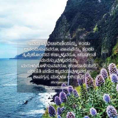 Picture 05 - 2 ಪೇತ್ರನು 2:14 KANIRV - ಇವರು - Bible Verse Picture
