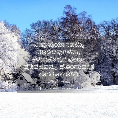 Picture 05 - 2 ಯೋಹಾನನು 1:8 KANIRV - ನೀವು ಪ್ರಯಾಸಪಟ್ಟು - Bible Verse Picture