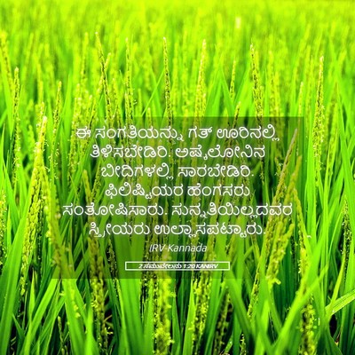 Picture 05 - 2 ಸಮುವೇಲನು 1:20 KANIRV - ಈ ಸಂಗತಿಯನ್ನು ಗತ್ - Bible Verse Picture